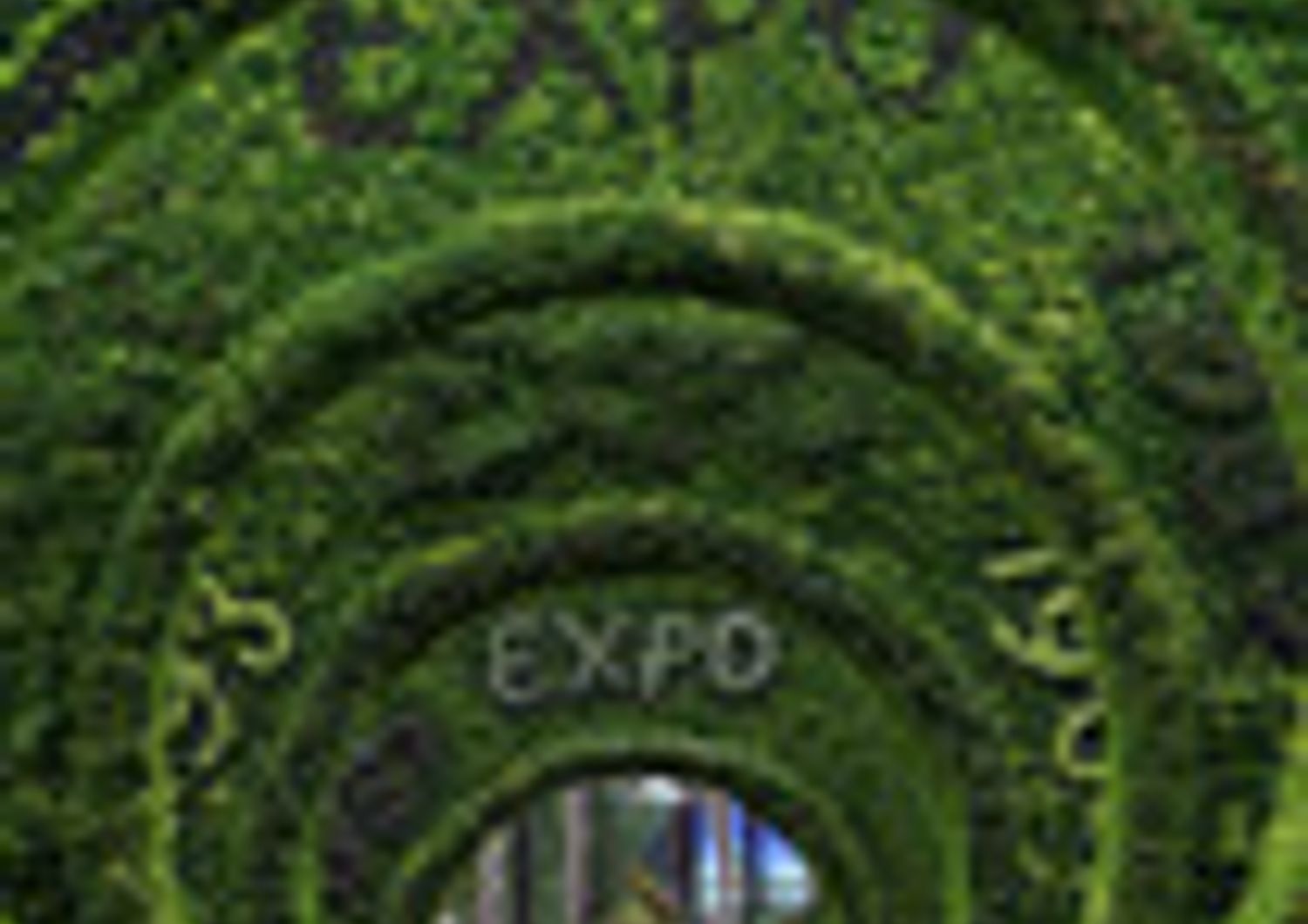 EXPO 2010: LE CRITICHE DEI CINESI