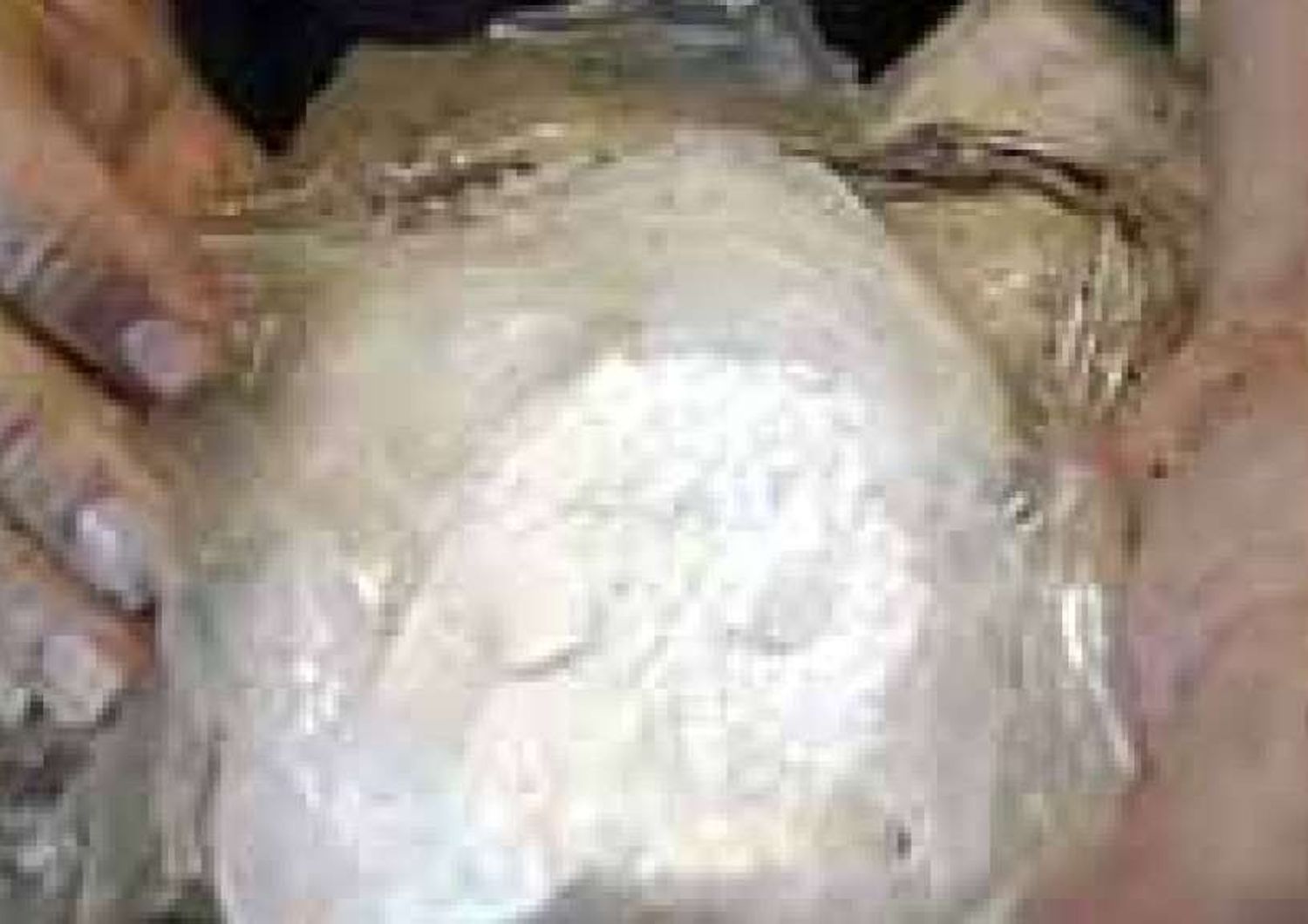 Cocaina in Sardegna dalla Turchia, presi trafficanti italo-turchi