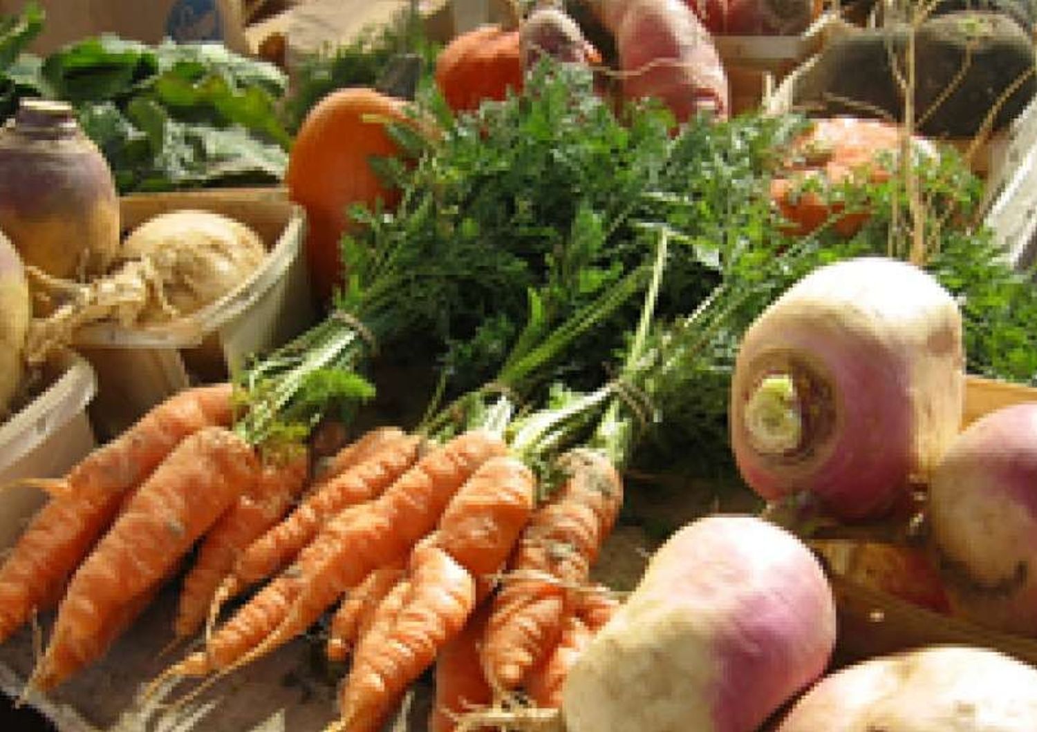 Inflazione: Coldiretti, ai minimi per crollo prezzi verdure