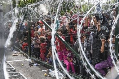 Muro di recinzione al confine tra Serbia e Ungheria per i rifugiati (Afp)