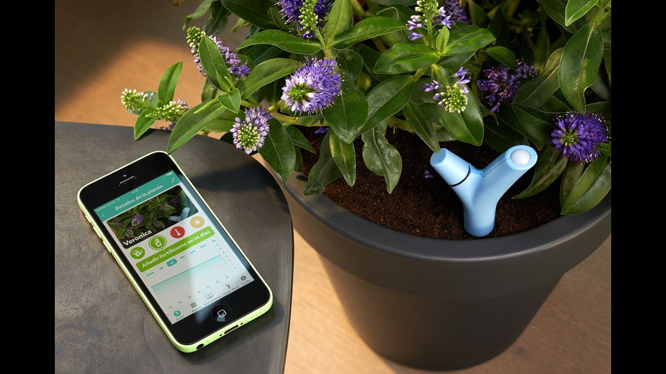 Da 50 euro. Parrot Flower Power &egrave; uno strumento da &lsquo;piantare&rsquo; nel vaso dotato di 4 sensori che rilevano in tempo reale intensit&agrave; della luce, temperatura dell'ambiente, umidit&agrave; del terreno&nbsp;