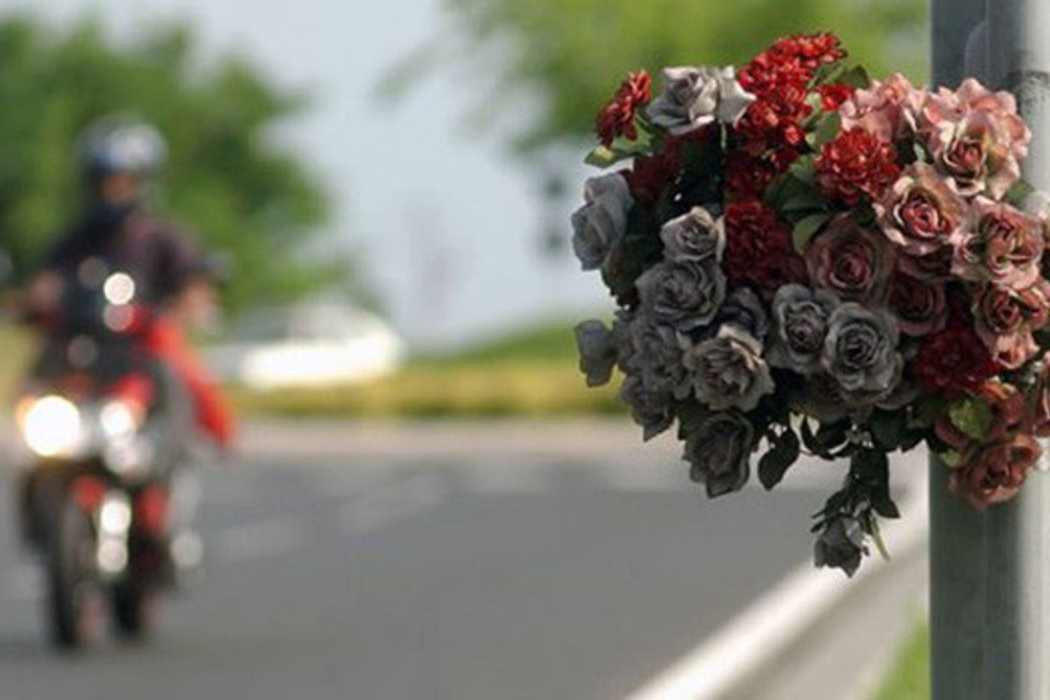 &nbsp;Omicidio stradale