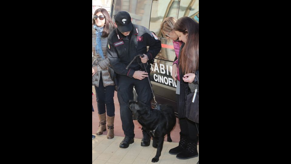 Rainbow Magicland, il pi&ugrave; grande Parco divertimenti di Roma, ha aperto le porte al personale delle Forze Armate per la Festa di Natale. L&rsquo;Aeronautica Militare ha messo  a disposizione un simulatore di volo, mentre alla Main Street  si e' esibita la Banda dell&rsquo;Esercito.Al Castello e' stato possibile incontrare il vincitore di Junior Master Chef Andrea Picchione che assieme a Sofia Sciamma sono stati protagonisti del  Lunch Show e gli Chef stellati Sandro Masci e Giulia Steffanina, che hanno proposto  due divertenti laboratori, Cupcake e Club Sandwich.&nbsp;