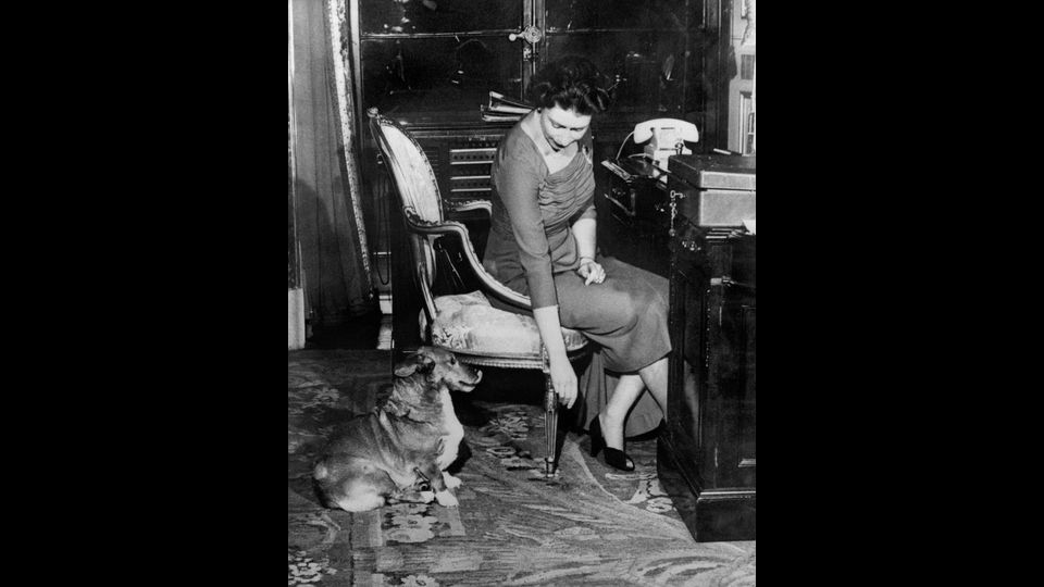 &nbsp;La regina Elisabetta II con il cane Susan nel 1959 (Afp)