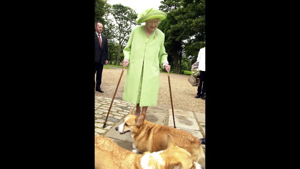 &nbsp;La regina Madre con i suoi Corgi Rush e Mini nel 2000 (Afp)