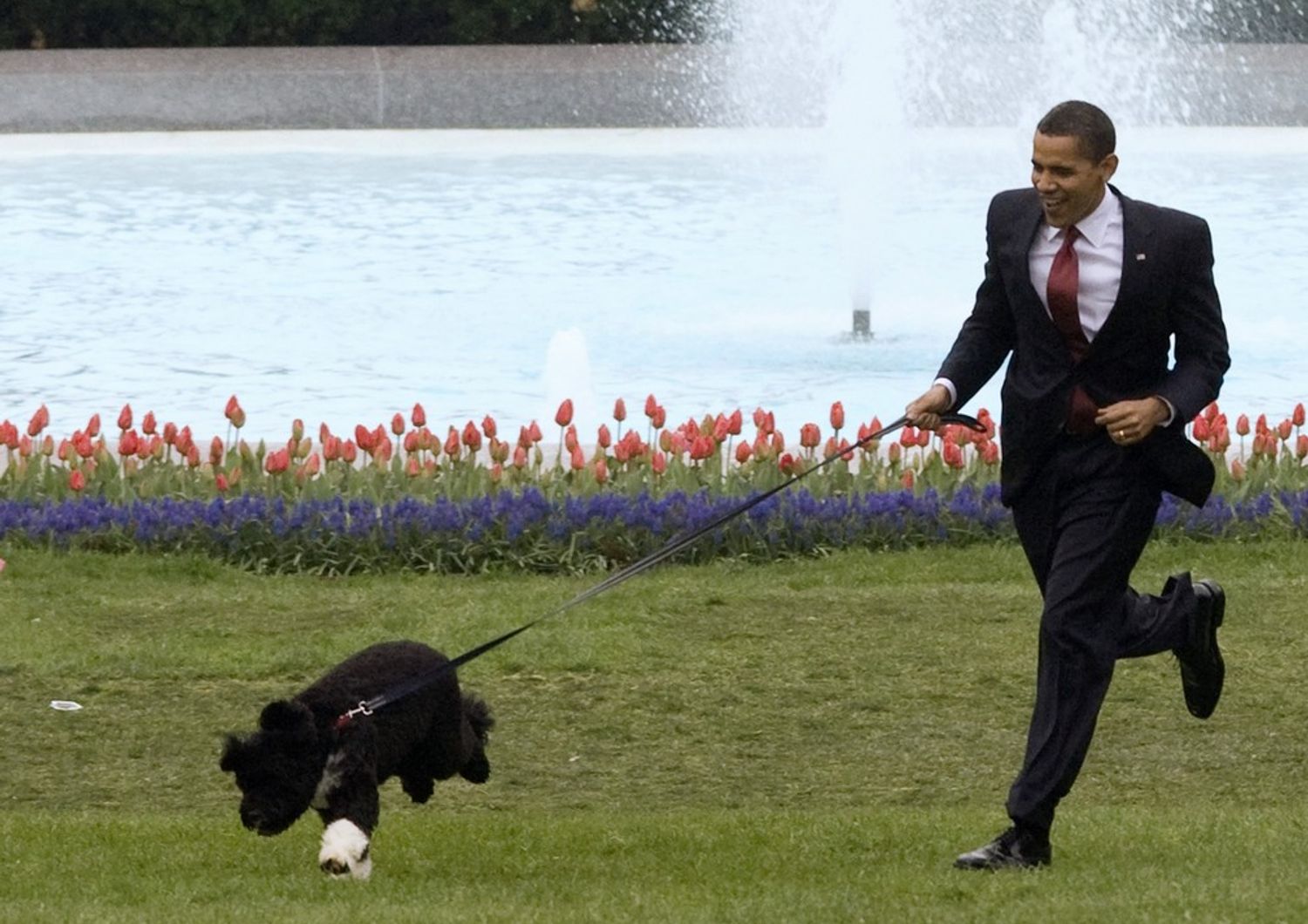 &nbsp;Barak Obama con il suo cane Bo alla Casa Bianca (reuters)