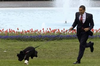 &nbsp;Barak Obama con il suo cane Bo alla Casa Bianca (reuters)