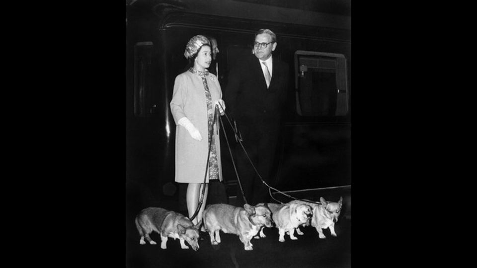 &nbsp;La regina Elisabetta II con i suoi quattro cani di razza Corgi nel 1969 (Afp)