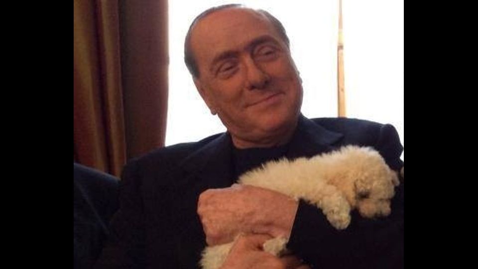 &nbsp;Silvio Berlusconi con il cane Dudu' (fb)