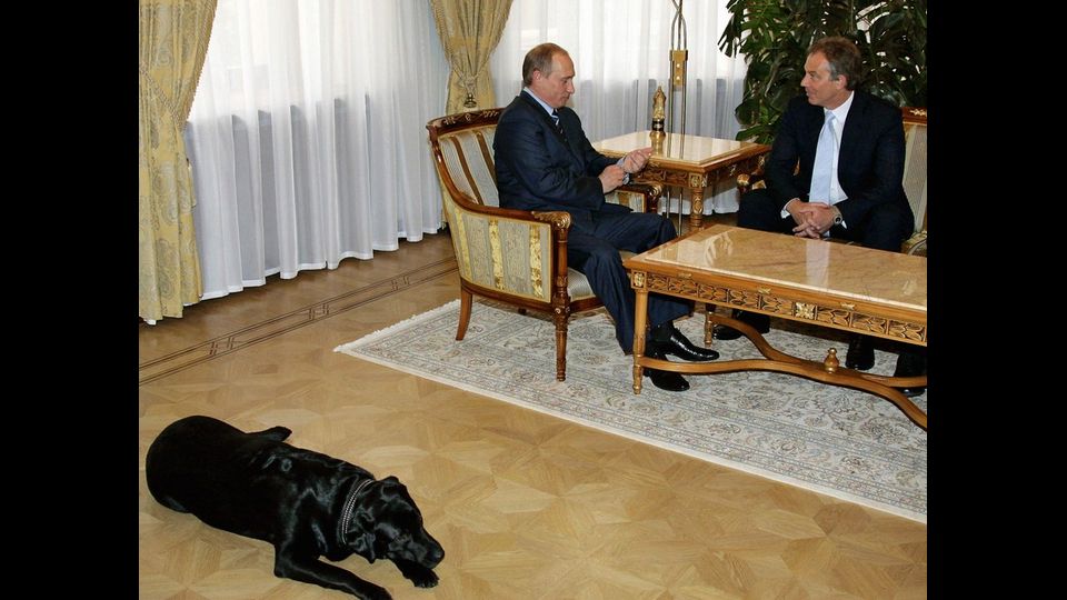 &nbsp;Il cane di Vladimir Putin, Conny (reuters)