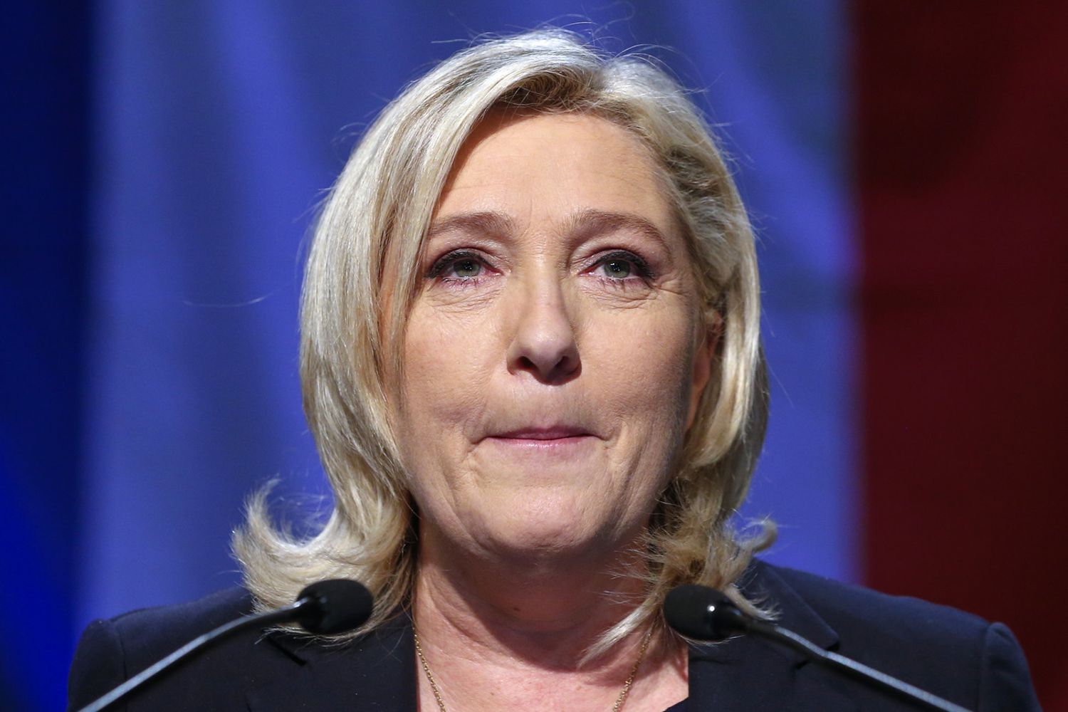 Marine Le Pen (Reuters)&nbsp;