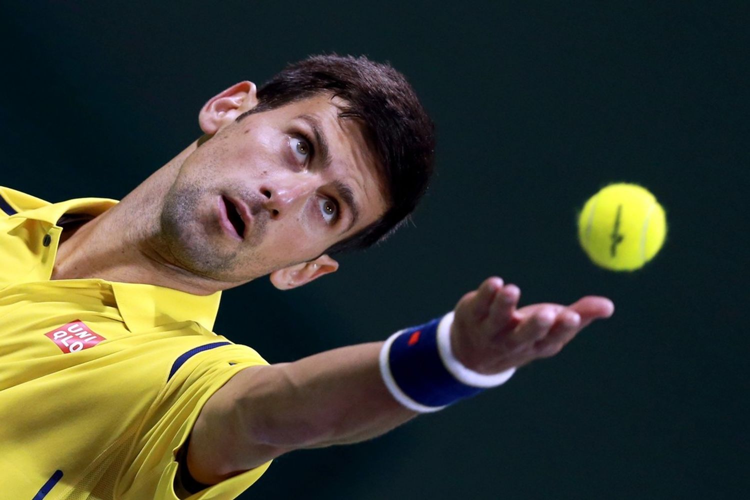 Novak Djokovic , tennis