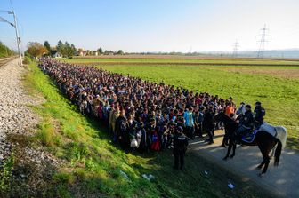 La polizia scorta i migranti e richiedenti asilo in un centro profughi dopo aver attraversato il confine croato-sloveno vicino Rigonce (24 ottobre 2015)