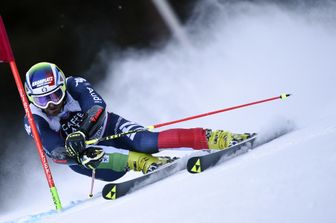 &nbsp;Manfred Moelgg