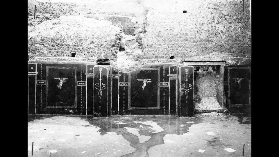 &nbsp; Schola Armaturarum