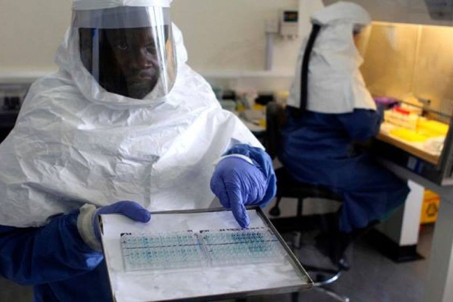 &nbsp;ebola ricercatori