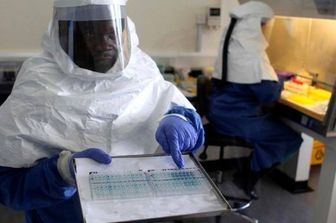 &nbsp;ebola ricercatori