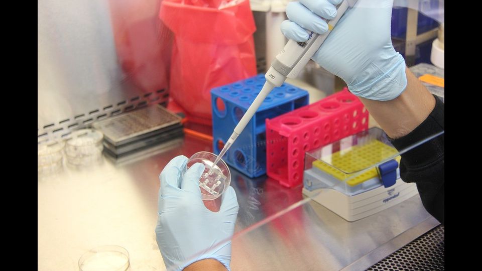 &nbsp; Classifica lavori meno stressanti:&nbsp; 5 - Tecnico di laboratorio