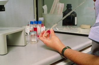 &nbsp;fecondazione (Agf)