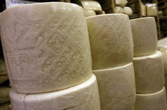 Pecorino (agf)&nbsp;