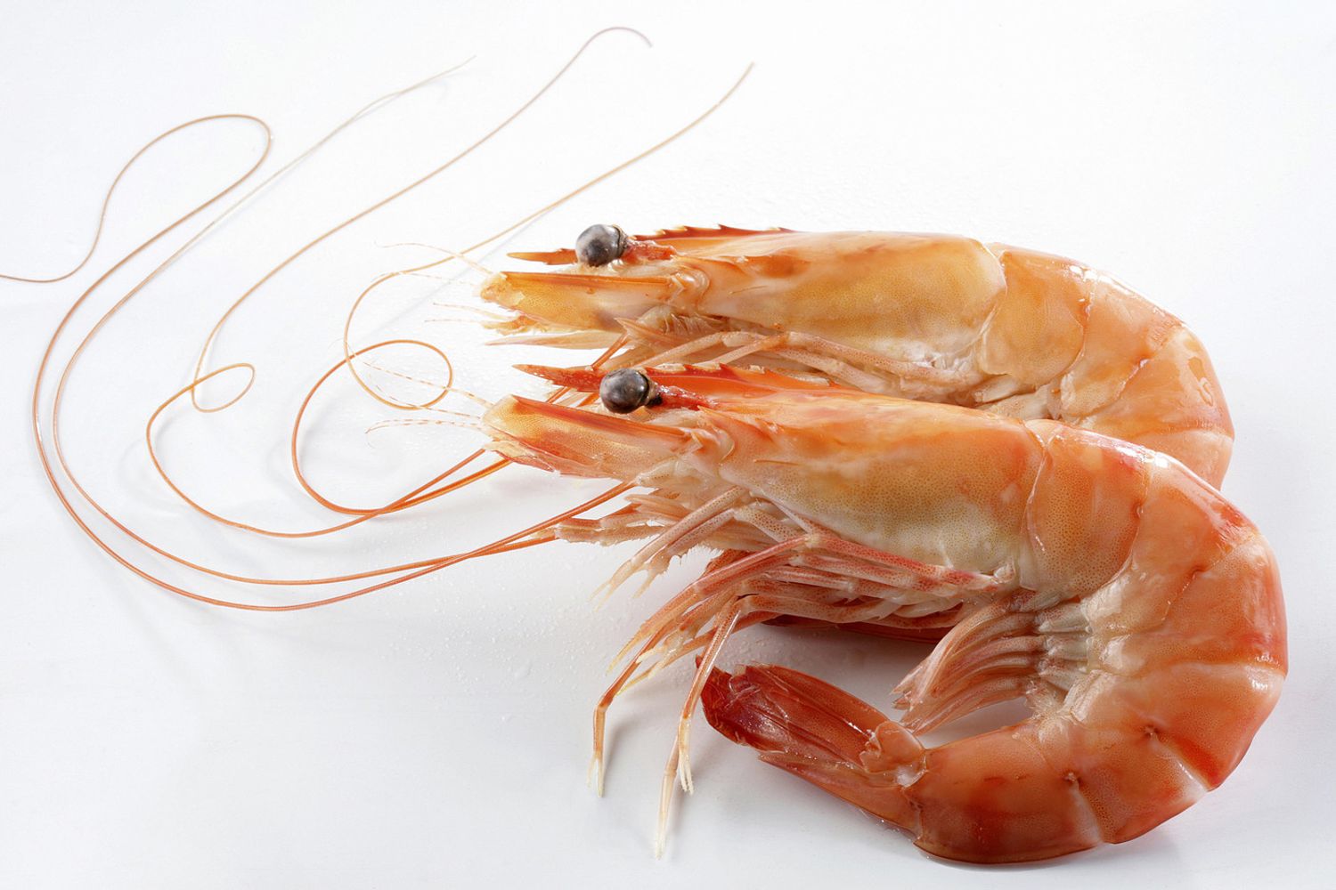 &nbsp;Gamberoni, gamberi, cucina, pesce, cibo (Afp)