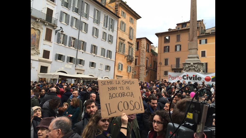 manifestazione popolo arcobaleno per unioni civili (ph Fortunato Pinto)&nbsp;