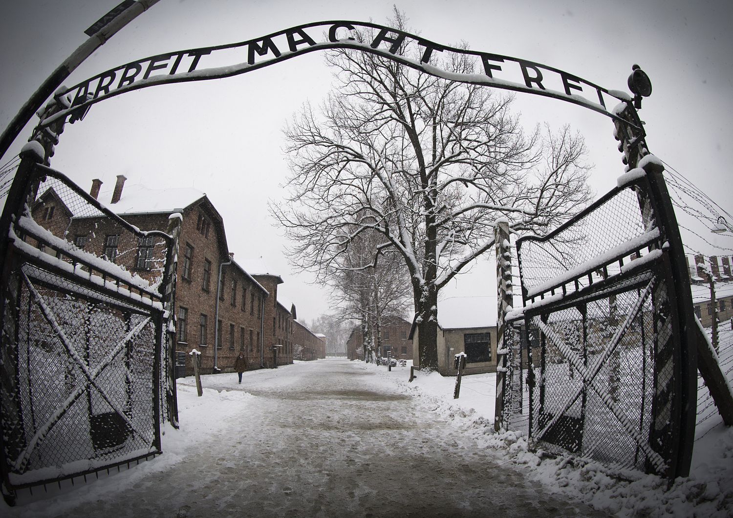Campo di concentramento di  Auschwitz-Birkenau (Afp)&nbsp;