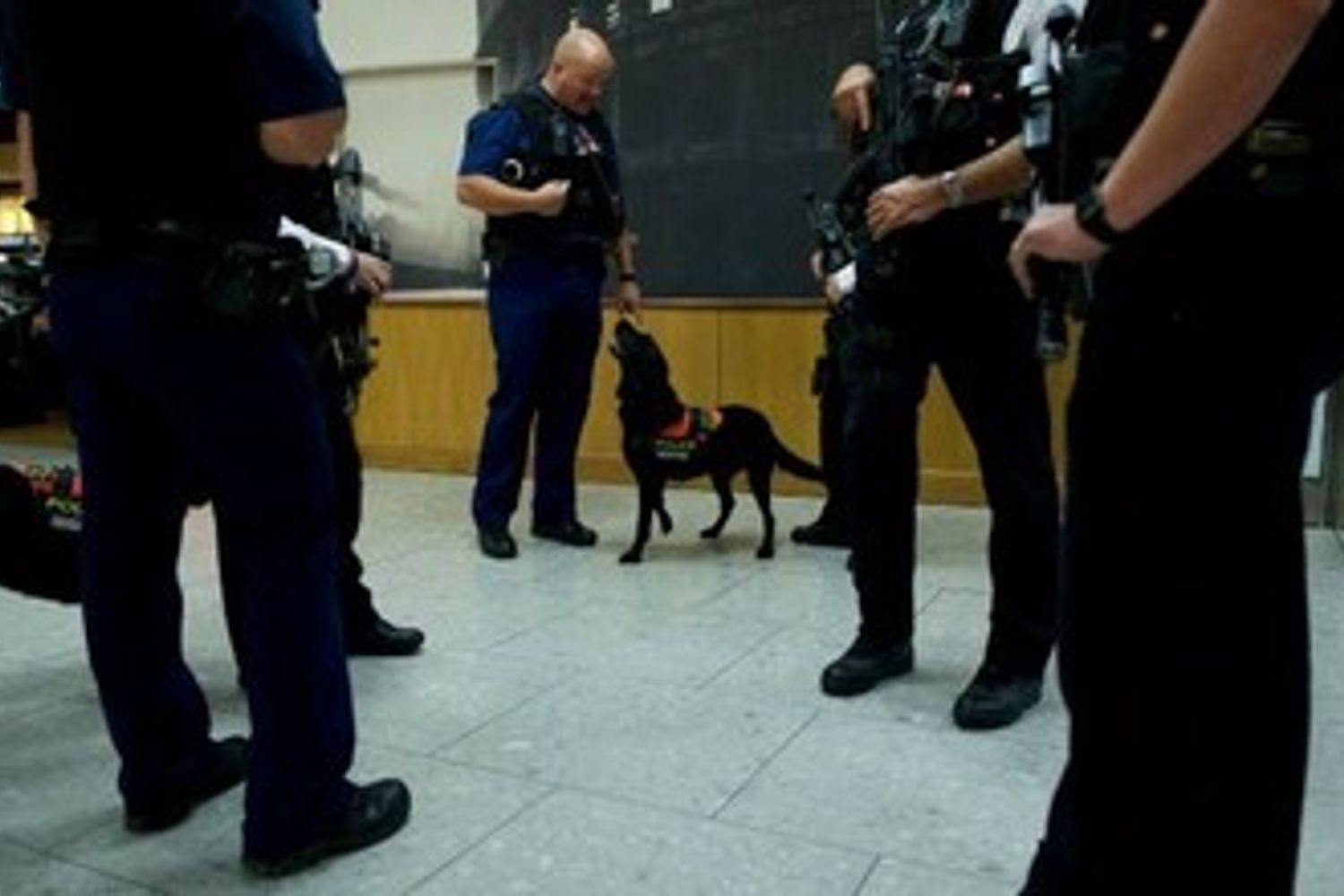 &nbsp;polizia britannica poliziotti inglese - Afp