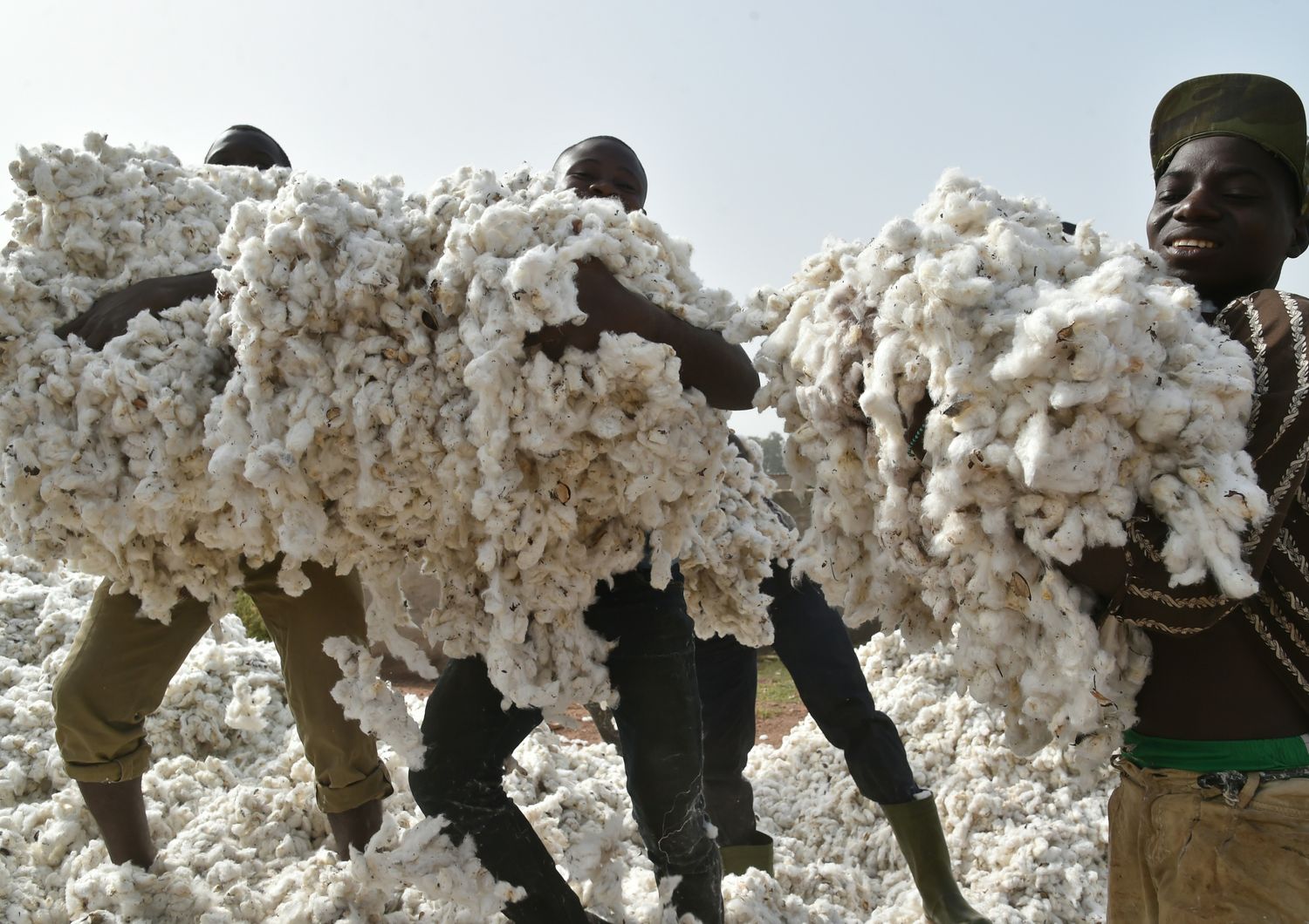 &nbsp;Costa d'avorio agricoltori piantagione di cotone - afp