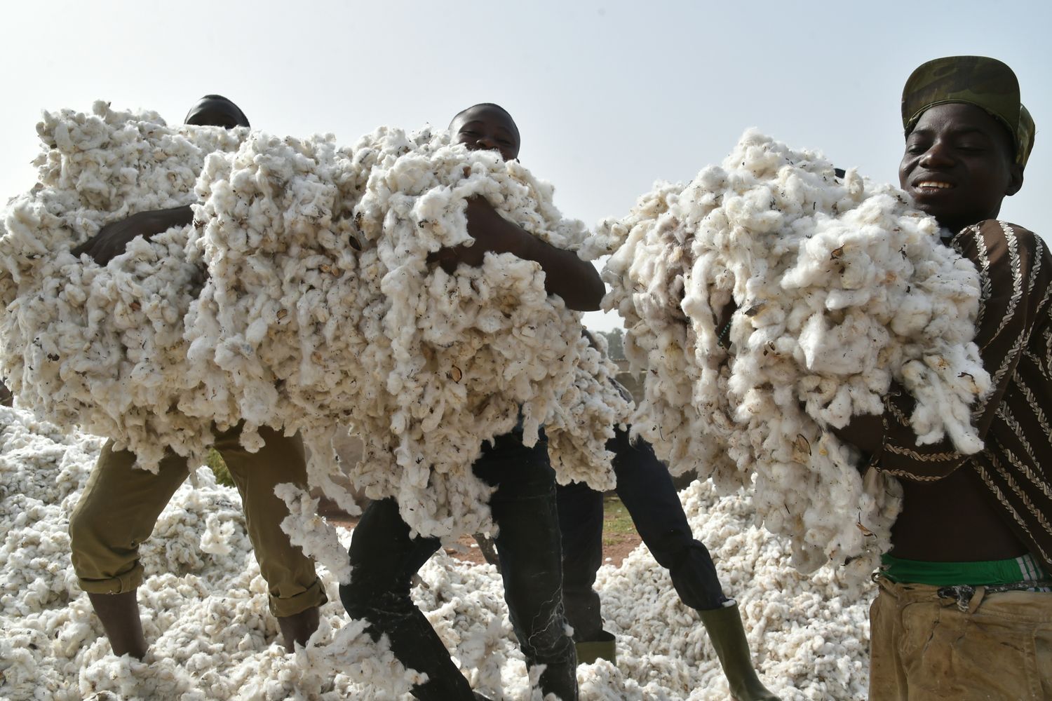 &nbsp;Costa d'avorio agricoltori piantagione di cotone - afp