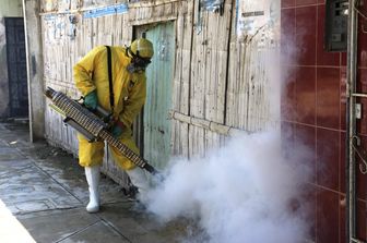 &nbsp;virus Zika (Afp)3