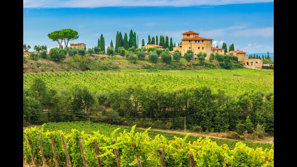 Borso San Felice, Toscana&nbsp;