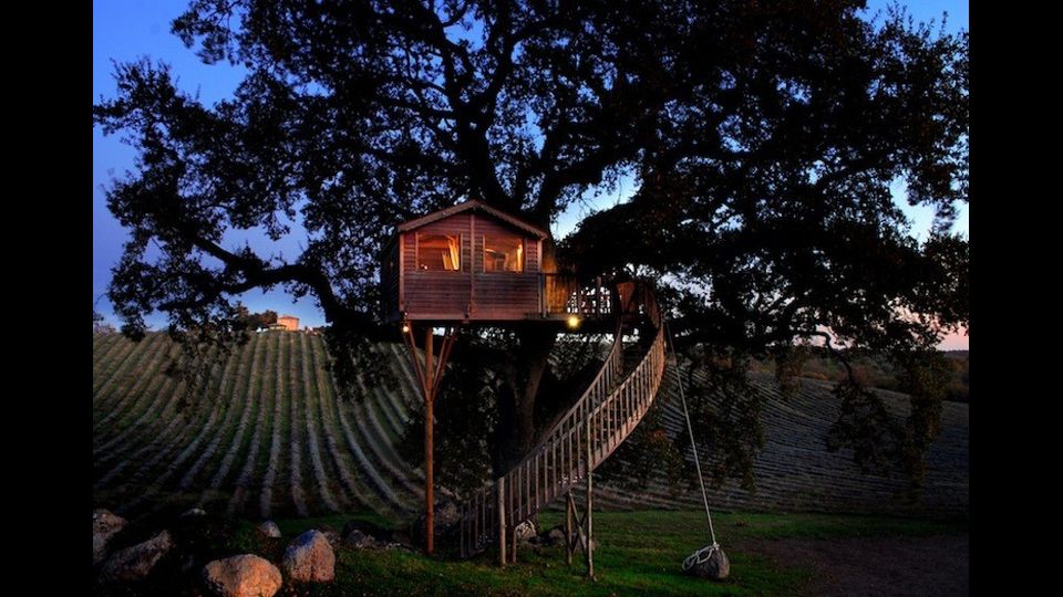 La piantata, Arlena di Castro (VT)&nbsp;