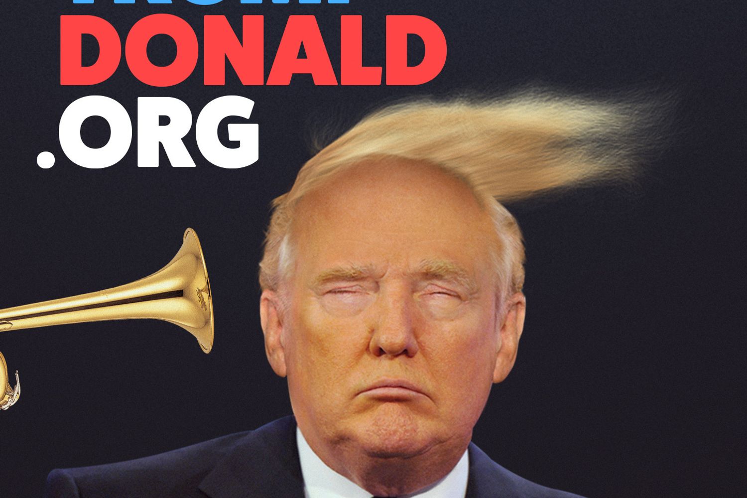 &nbsp;Donald Trump, un sito per spettinarlo