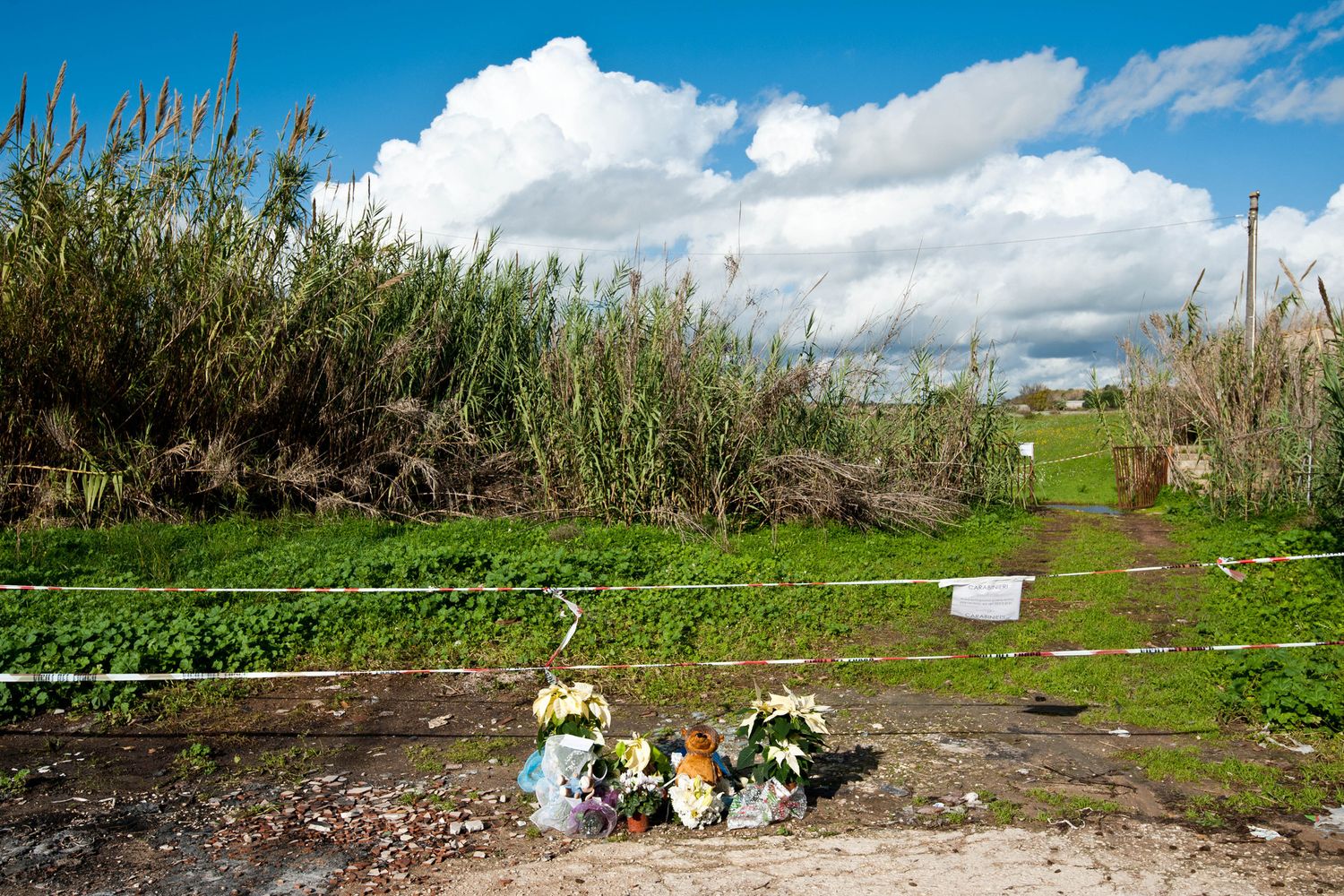 il luogo del ritrovamento del corpicino di Loris (Agf)&nbsp;