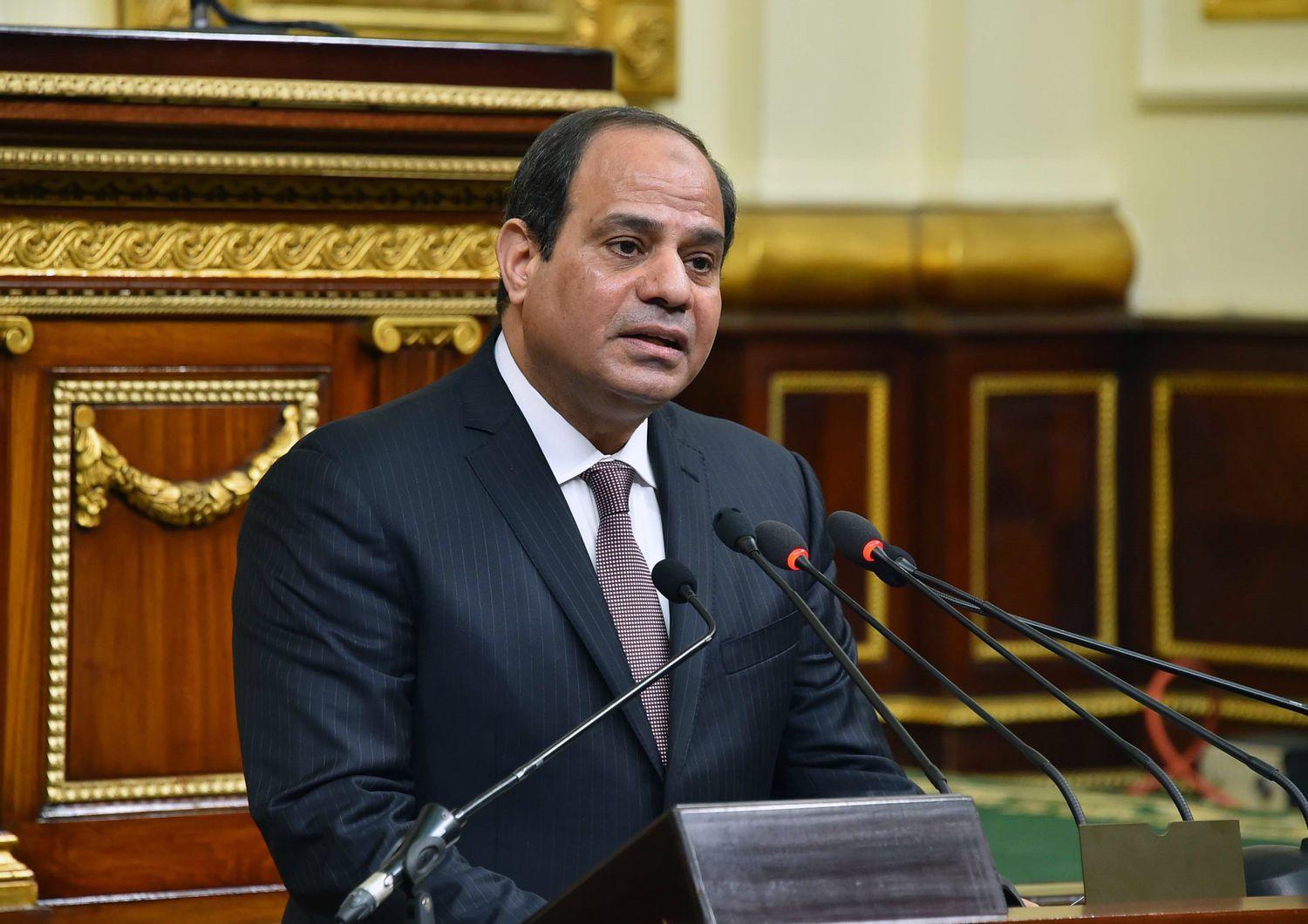 &nbsp;Abdel Fattah al Sisi presidente Egitto (Afp)