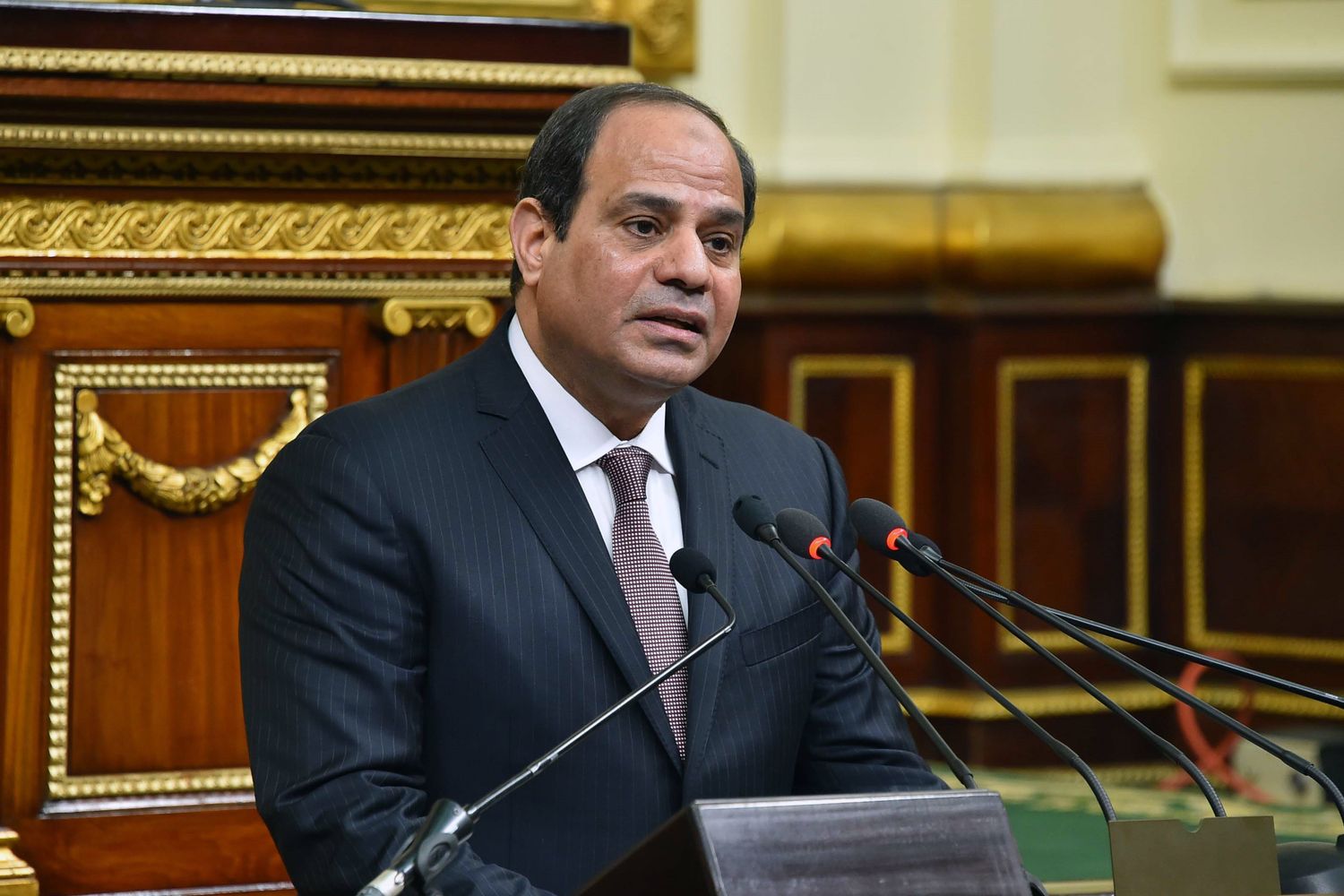 &nbsp;Abdel Fattah al Sisi presidente Egitto (Afp)