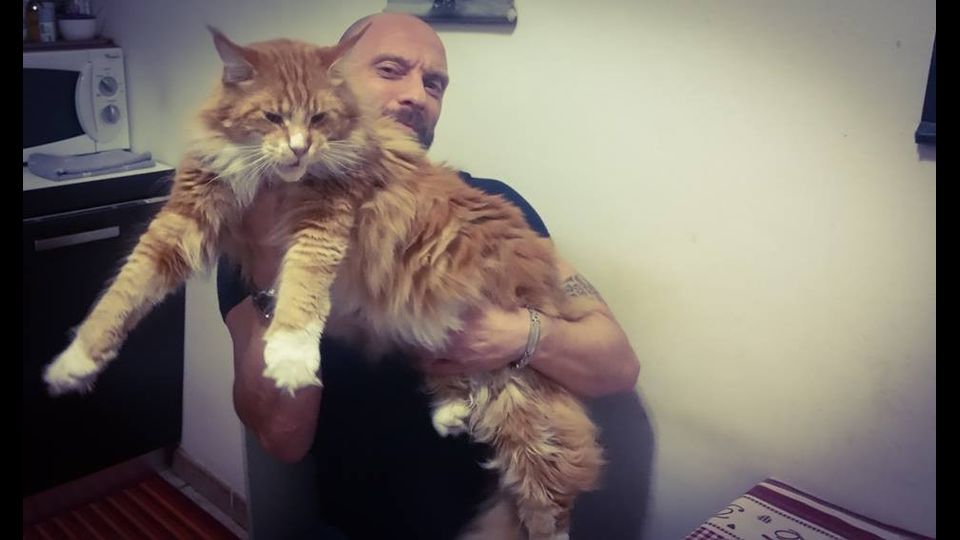 Il secondo gattone di Roberto&nbsp;