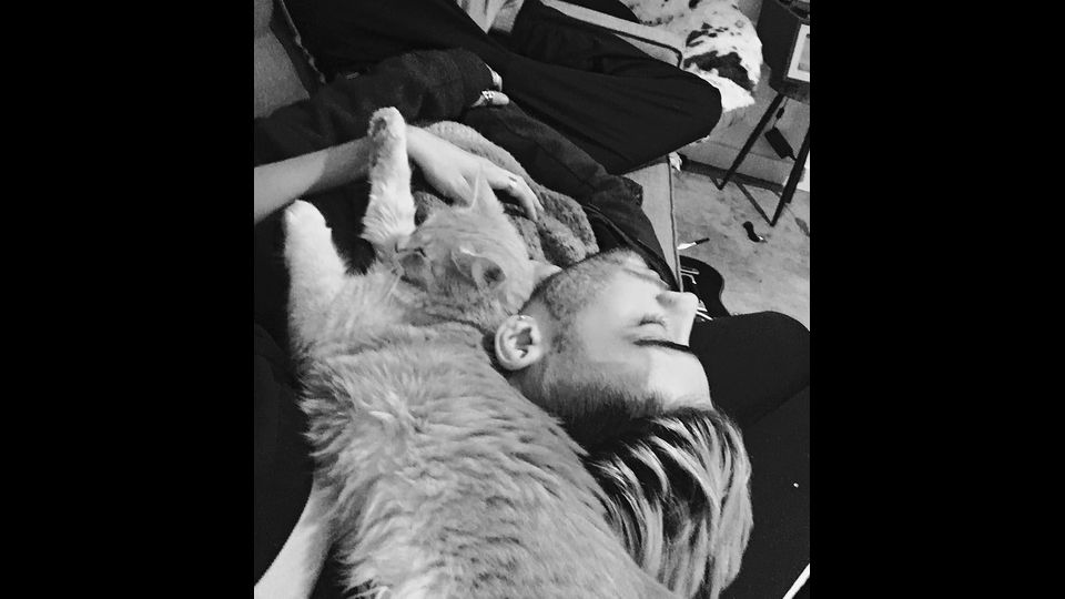 Il gatto della modella Gigi Hadid con il cantante Zayn Malik&nbsp;