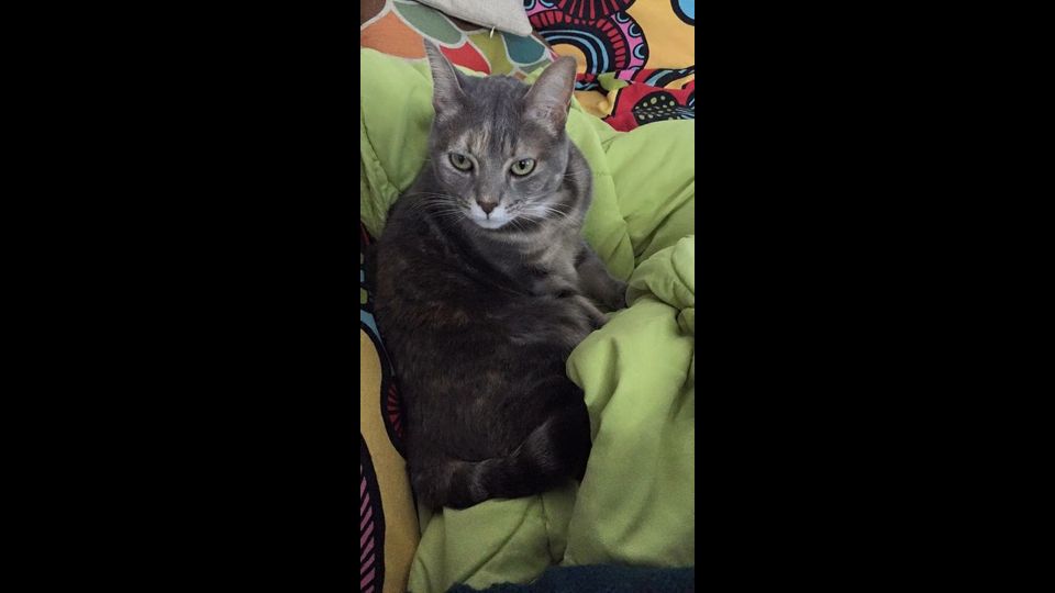 Bruno di Valentina&nbsp;