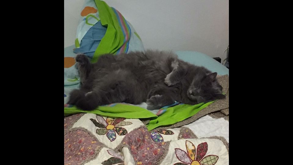 Carlo di Valentina&nbsp;