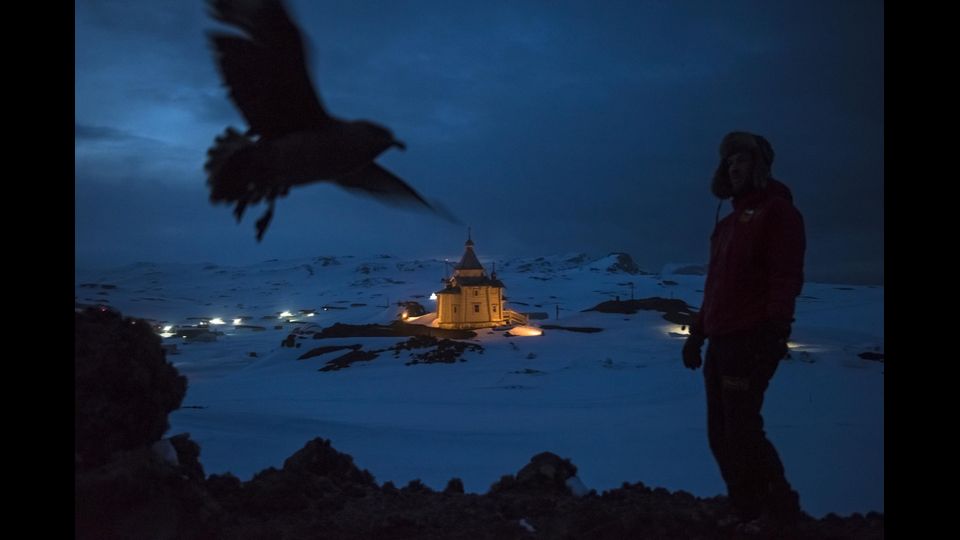 Categoria Daily Life&nbsp;- 1 premio storie 'An Antarctic Advantage' di Daniel Berehulak, Australia