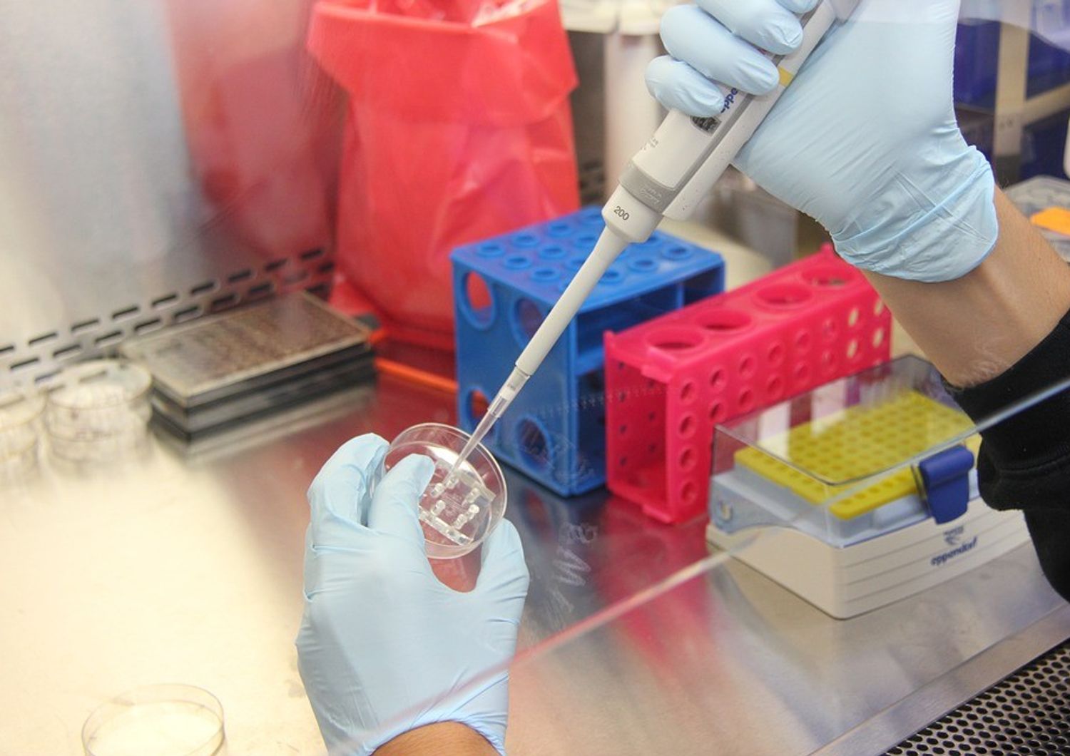 ricerca ricercatori sangue provette analisi campione medicina - pixabay