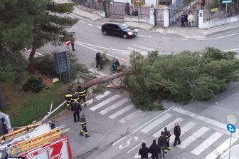 Sesto morto per Golia, l&#39;Italia ancora in ginocchio&nbsp;-&nbsp;Foto