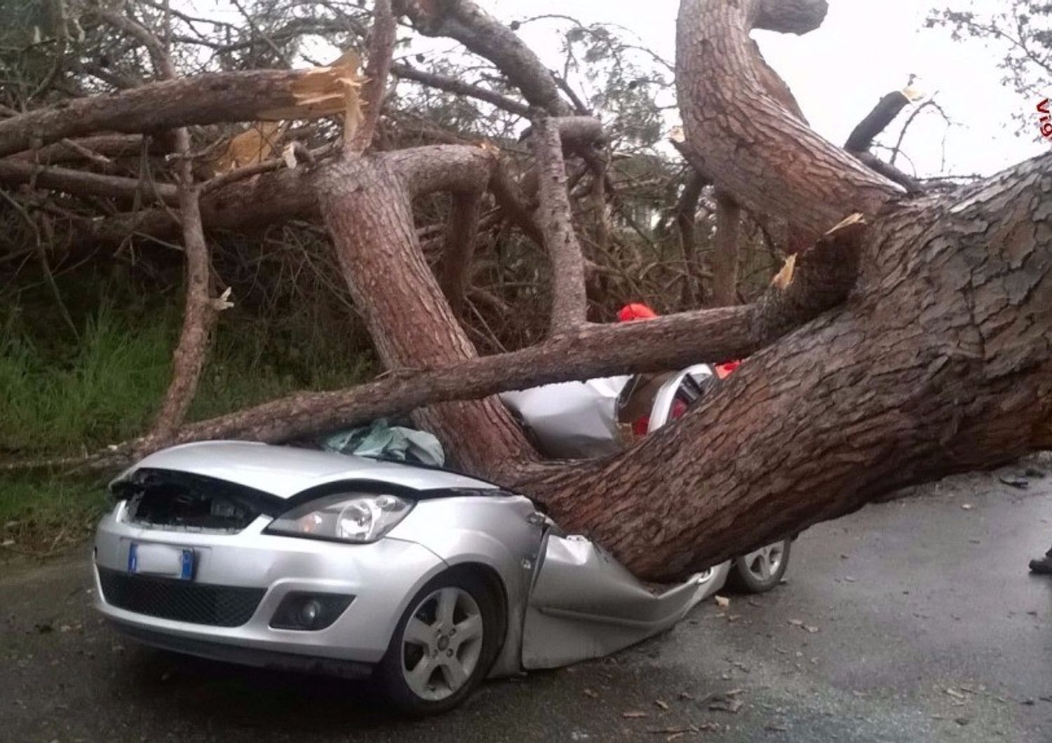 &nbsp;Incidente albero cade su auto