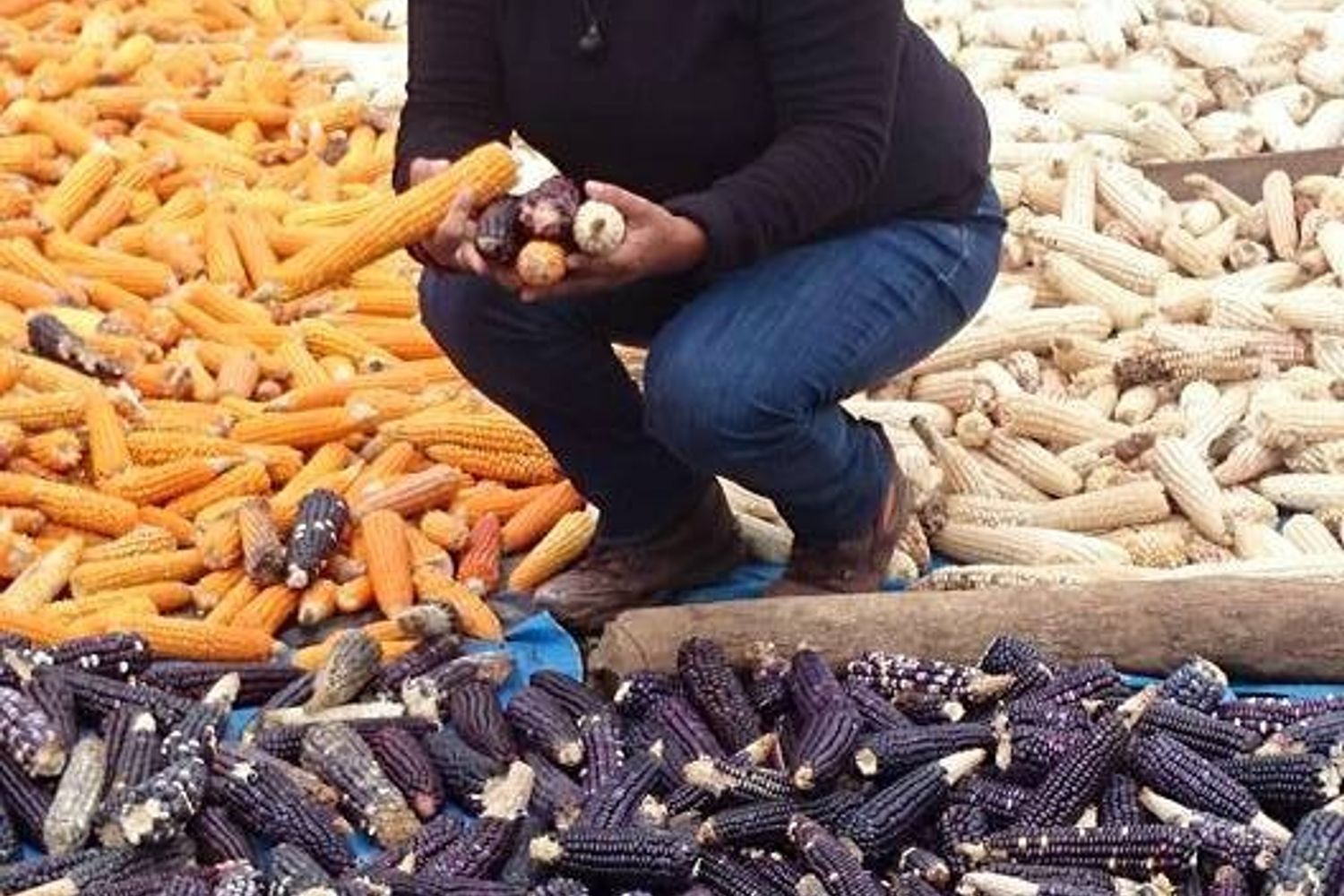 &nbsp; Honduras assassinata berta caceres - fb