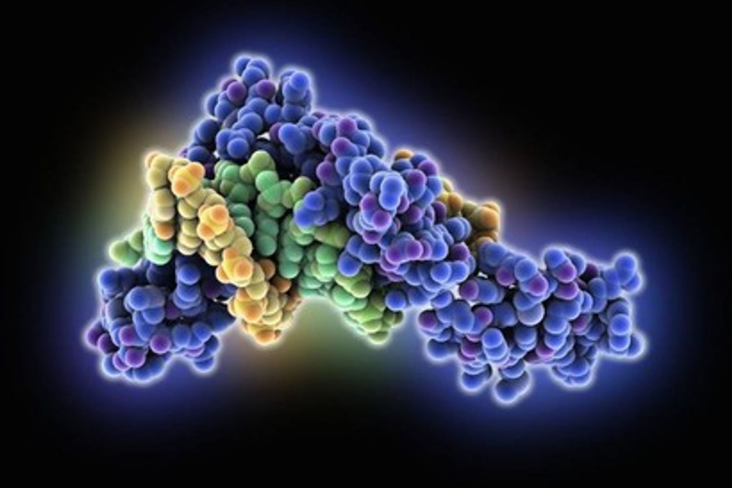 tumore molecola&nbsp;