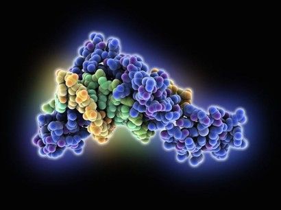 tumore molecola&nbsp;