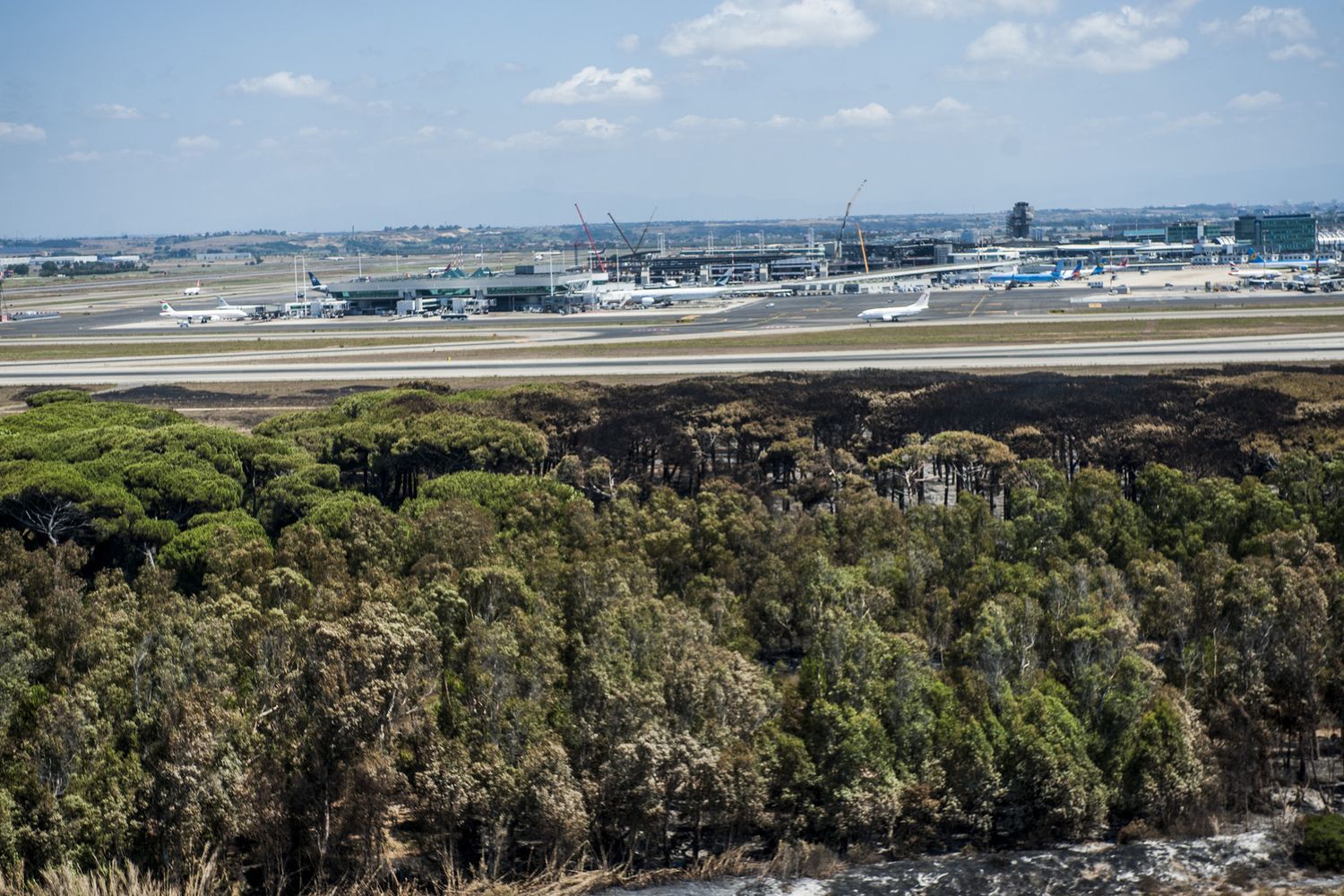 aeroporto Fiumicino (agf)&nbsp;