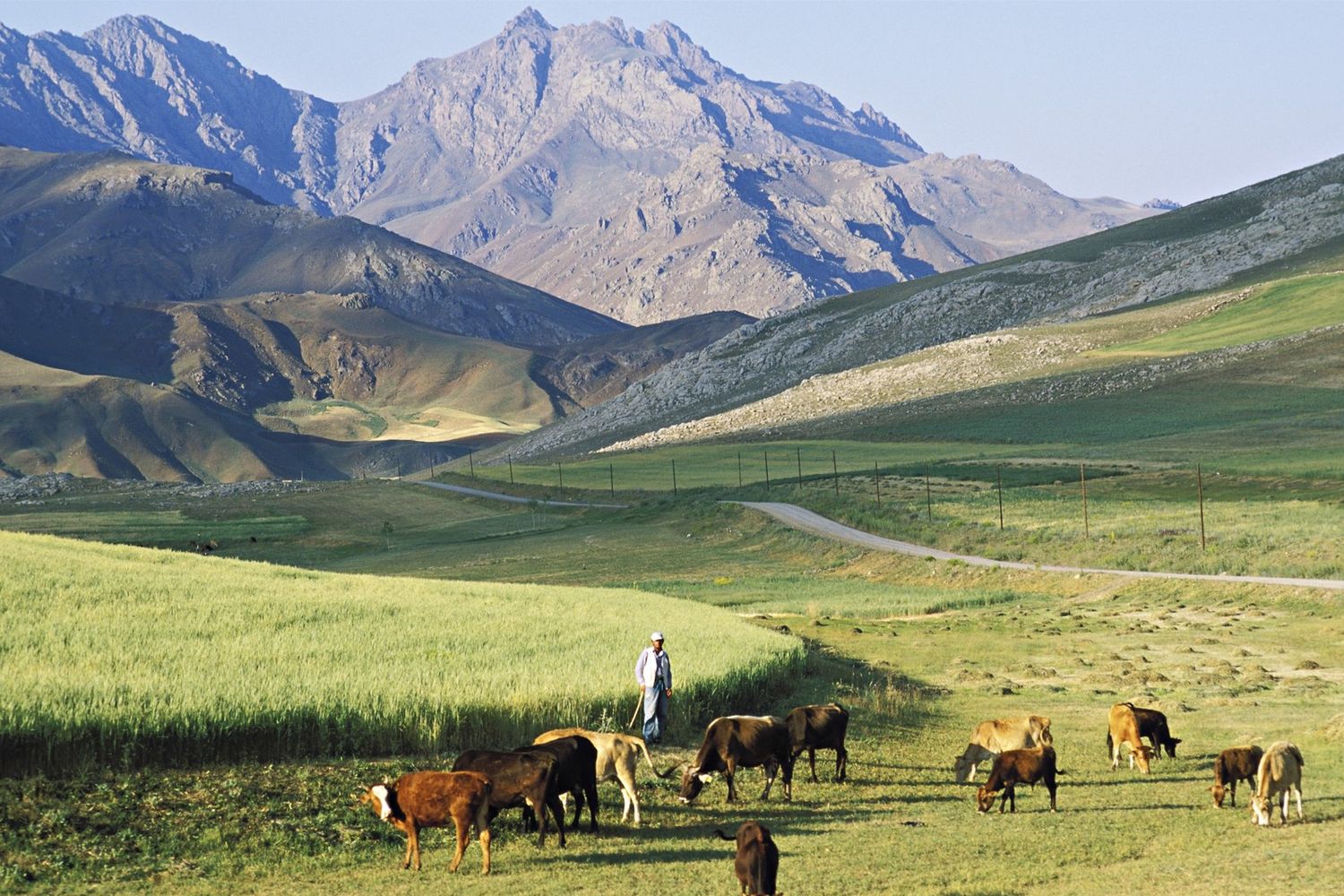 agricoltura Kurdistan (afp)&nbsp;
